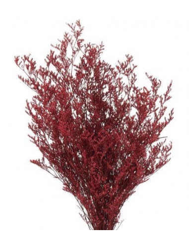 L'OCA NERA LIMONIUM 